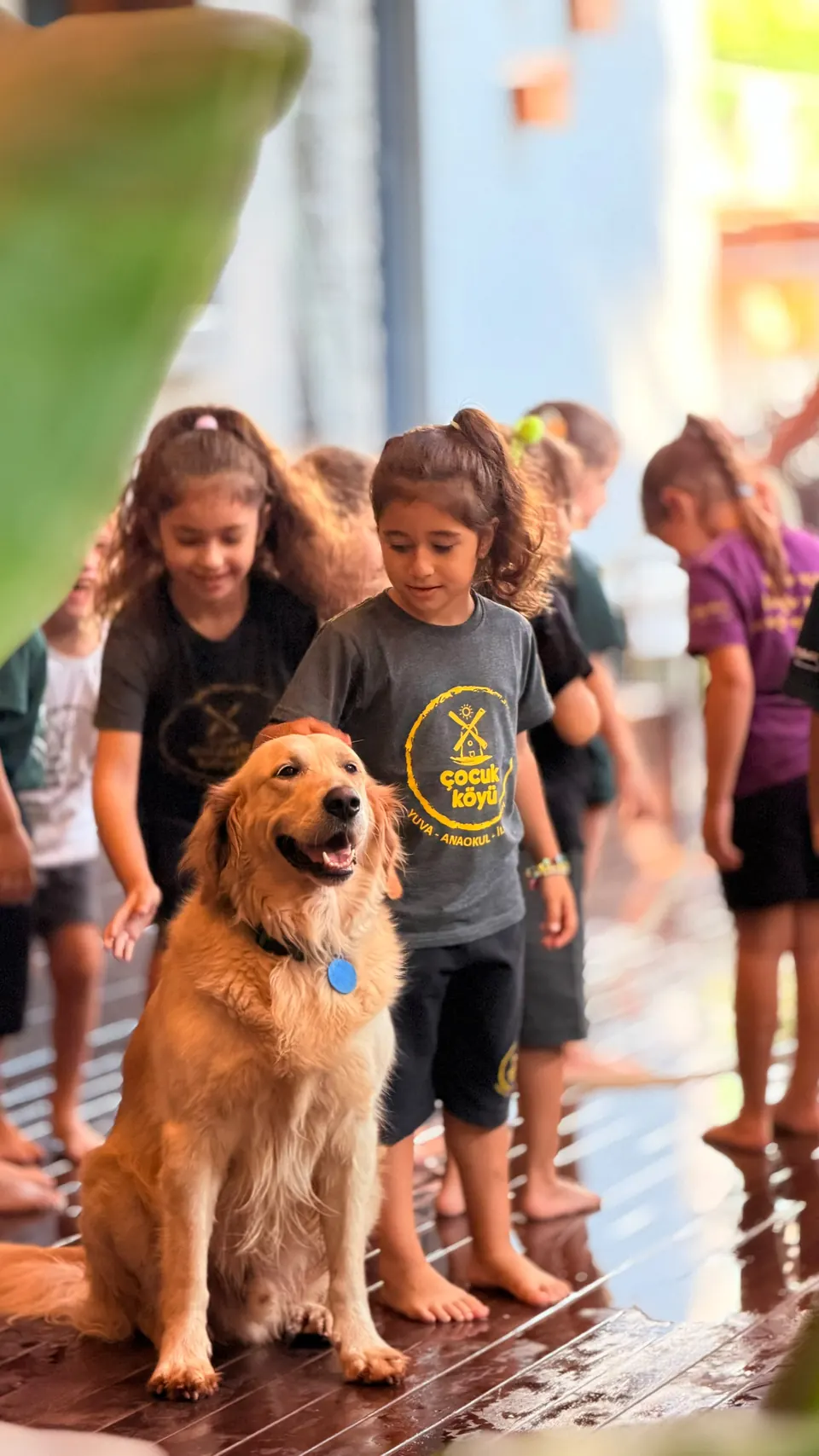 Çocuk Köyü’nde köpeği seven çocuklar
